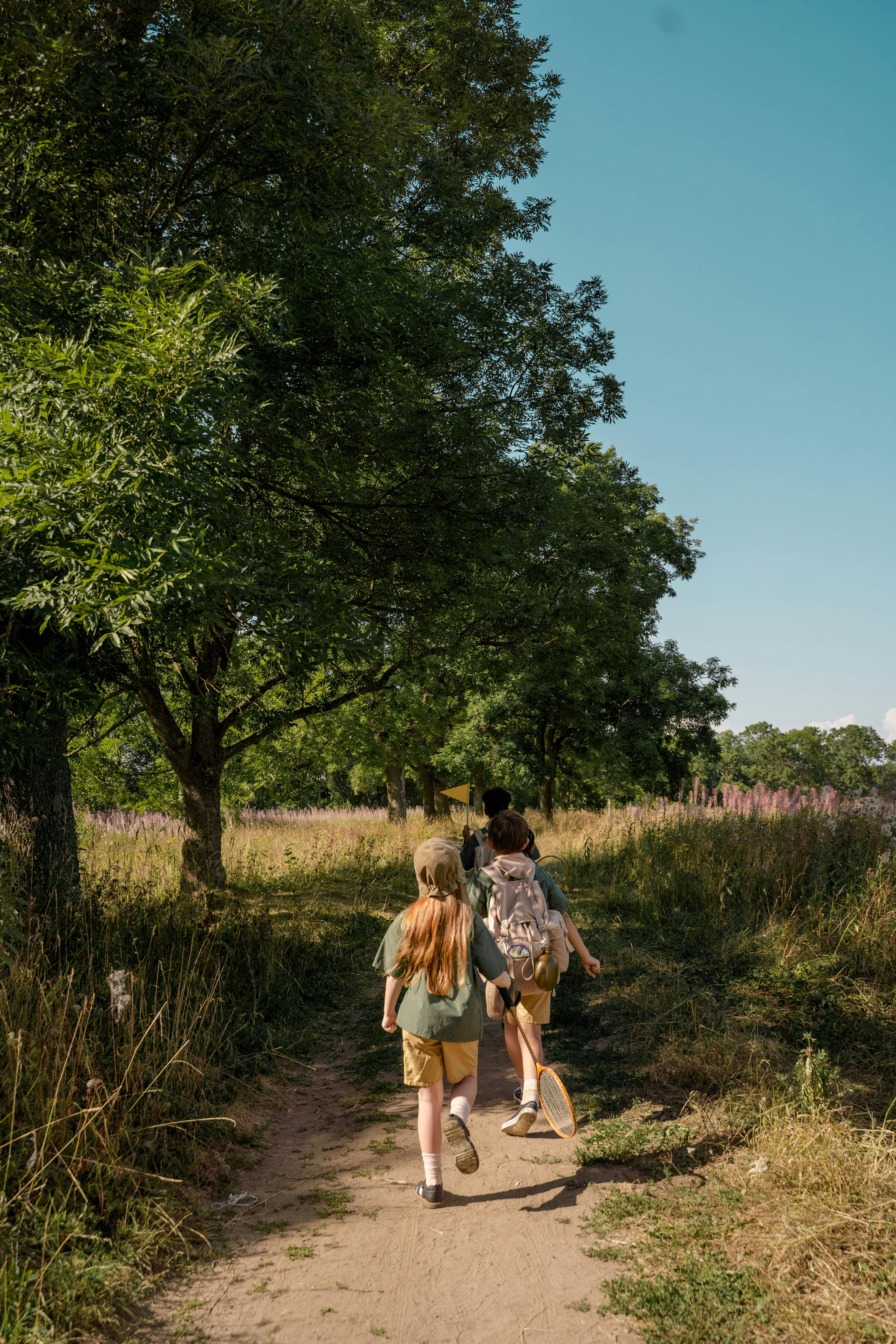 Picture of Children walking in a forest in a line