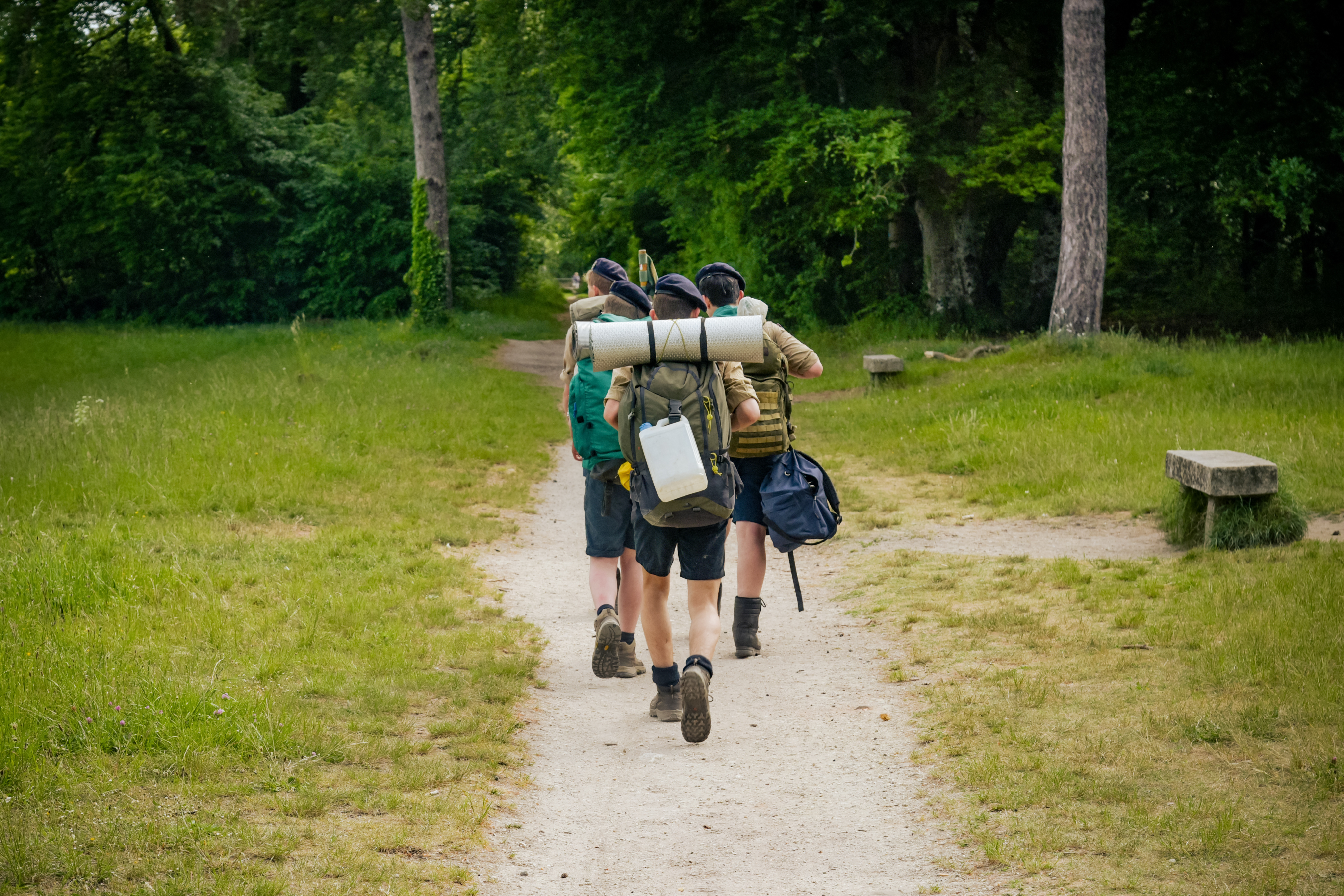 a group of children with backpacks walking into a wood